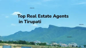 Top 20+ Tirupati Real Estate Agents
